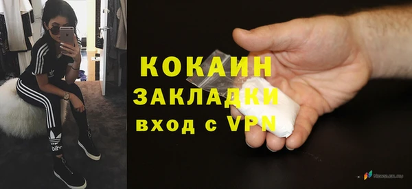 стаф Козловка