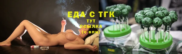 стаф Козловка