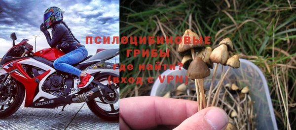 стаф Козловка