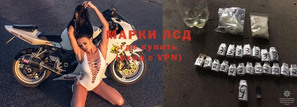 стаф Козловка