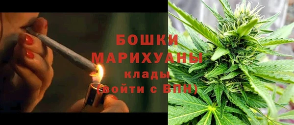 ПСИЛОЦИБИНОВЫЕ ГРИБЫ Кодинск