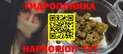 крисы Конаково