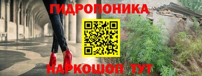 крисы Конаково