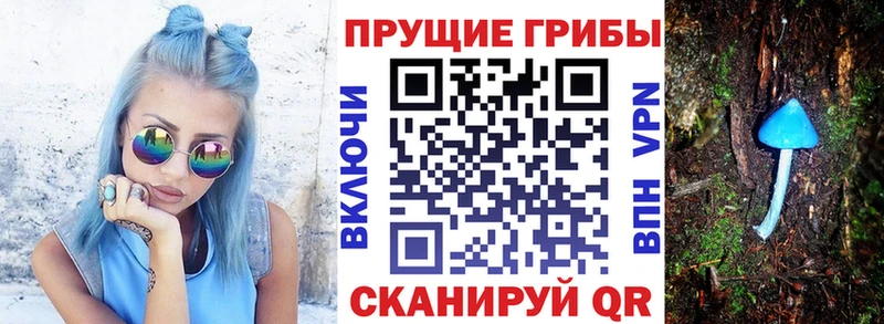 сайты даркнета состав  Пушкино  Псилоцибиновые грибы Psilocybine cubensis 