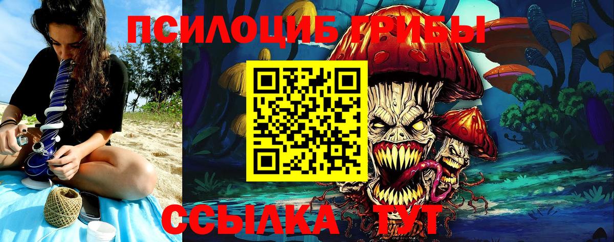 где купить наркоту  Пушкино  Псилоцибиновые грибы Magic Shrooms  Галлюциногенные грибы ЛСД 