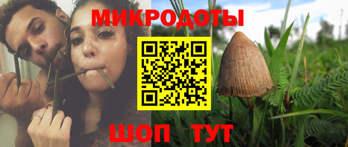 Псилоцибиновые грибы ЛСД Пушкино